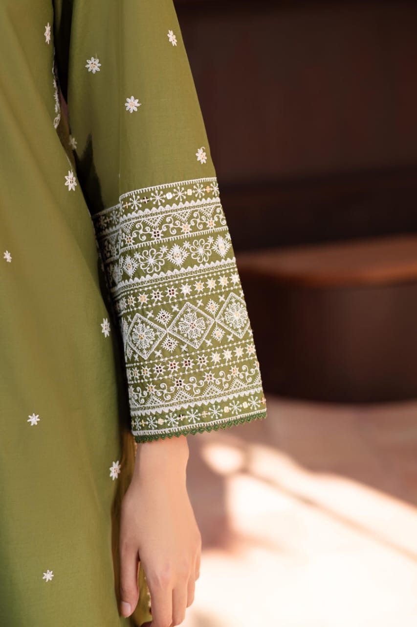 Safina embroidered 2pc