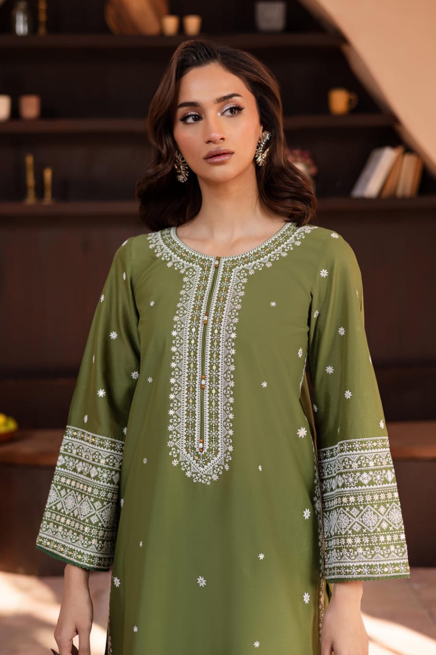 Safina embroidered 2pc