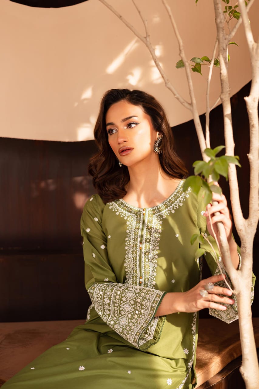 Safina embroidered 2pc