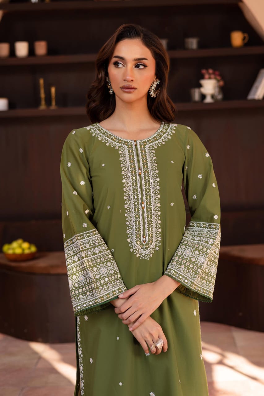 Safina embroidered 2pc
