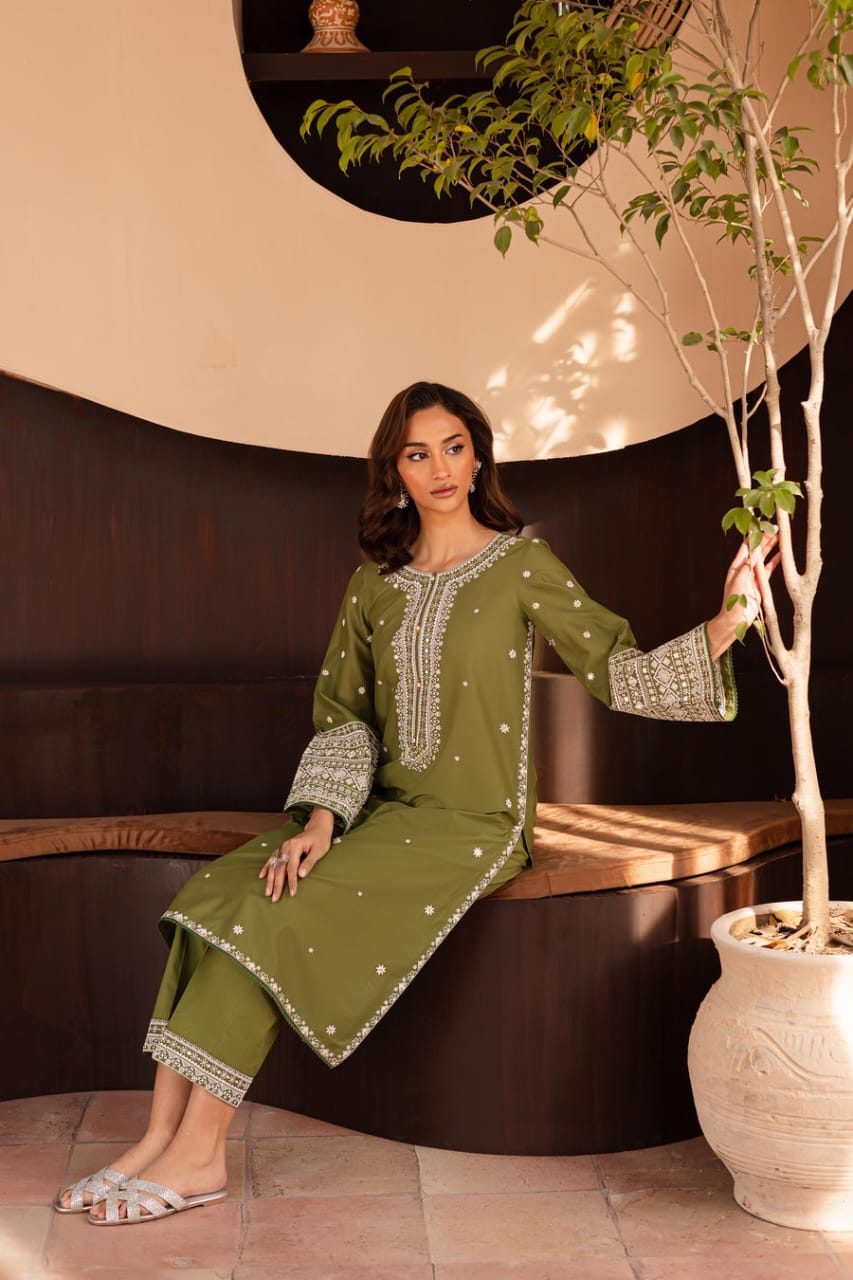 Safina embroidered 2pc