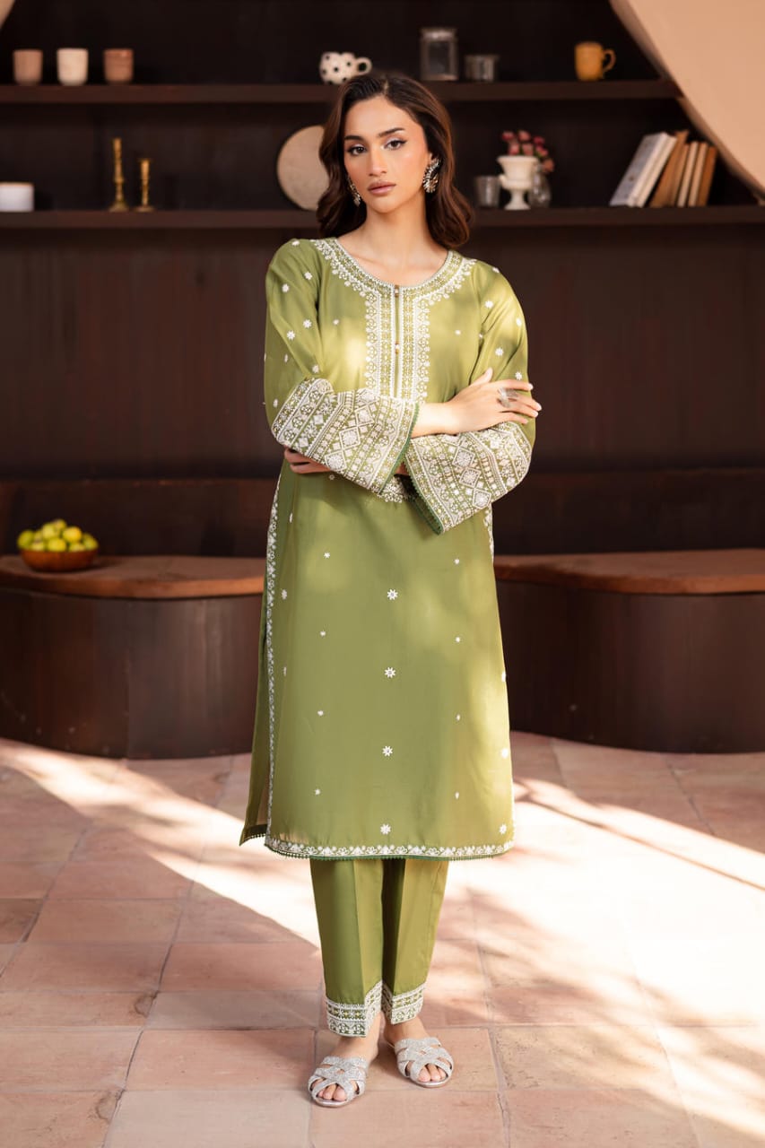 Safina embroidered 2pc
